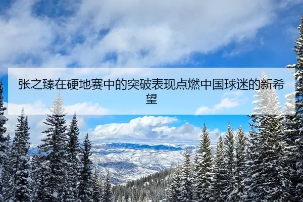 张之臻在硬地赛中的突破表现点燃中国球迷的新希望